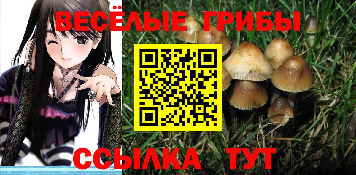 Псилоцибиновые грибы мухоморы Сызрань