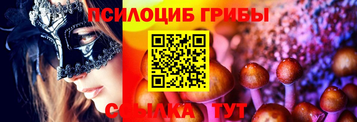 Сызрань  Псилоцибиновые грибы Magic Shrooms  Вход с VPN 